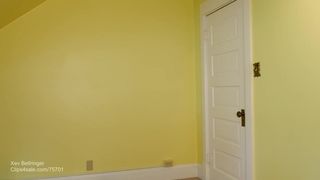 Xev Bellringer telecast 15.02.2019