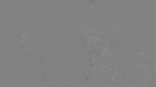 MiaRand Cute babe licks dildo