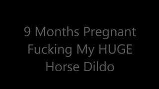 Jeri Lynn Busty young lady erotically posing in a dress