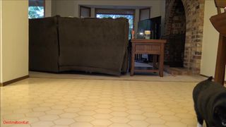 Destinationkat ManyVids