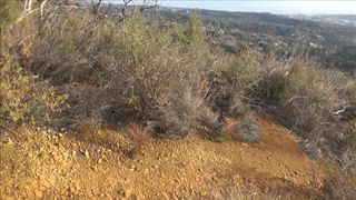 veronica weston onlyfans  busty bitch in stockings masturbating with fingers