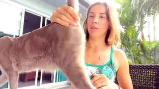 emilia98xxx Busty filly