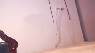 sweet_tracy_stone luxurious female massaging nipples