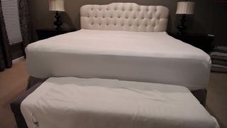 videoxxx  adorable bitch twirls elastic booty