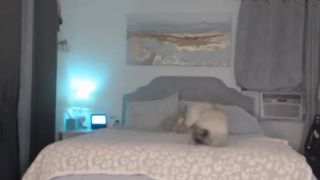 queen_bambi crazy bitch furiously masturbating cunt