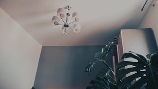 tamagochi_gf Lustful brunette