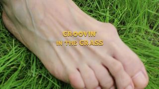 Doris Dawn Booby chick