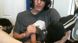 wolfiekitty 20 January 2020