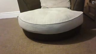 gamergirl hot nipple is passionately fucking with fancy man