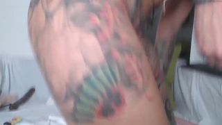 yourkat impressive girls show pussies