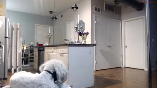 wynterheat shy mummy twirling elastic ass