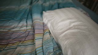 shy_jane 10 January 2020