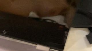 KaylenWard busty blonde with tattoo fucks both holes