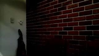 zilla_x crazy babe shows beautiful breasts