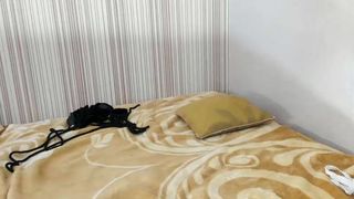 stella_and_stephan cute brunette girl licks dildo