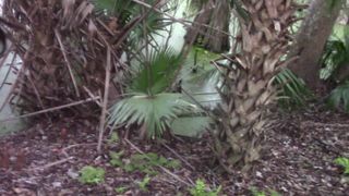 Chloe Lamb Young redhead