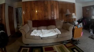 annabelle bestia blissful quit performed  private  with a toy