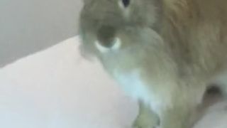 kittykateeee Depraved Latina