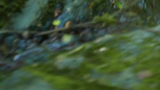 Teacher of Magic mature confused masturbates shaved pussy