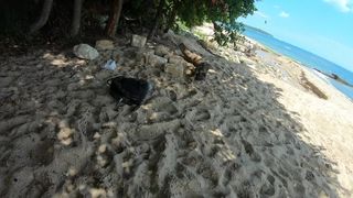 Cock2squirt gently fucks pussy