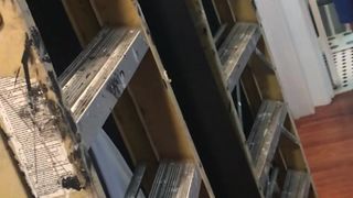 Rawr Itsben  sexy ladies teasing shaved pussies