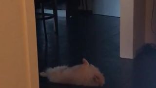 Elise aka Siswet19  two scrubs