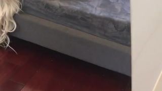 Richelle Ryan  Curvy babe