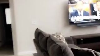 Kendra Lust onlyfans naughty bitch fucks pussy