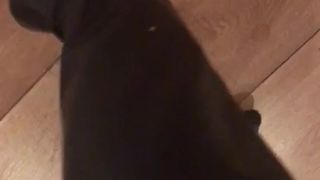 Ella Jolie onlyfans  two sluts in stockings