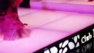 Blondie Fesser onlyfans  modest model posing in fries