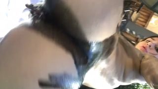 Joseline Kelly onlyfans gorgeous slut shows big ass