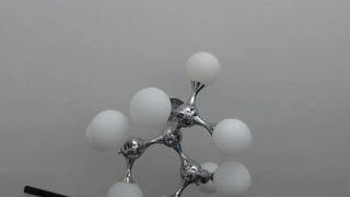 fancyvikki Good bitch