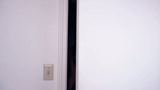 Dawnwillow webcast 15.07.2019