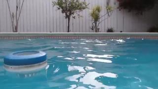 ella_xo playing with her ass and pussy