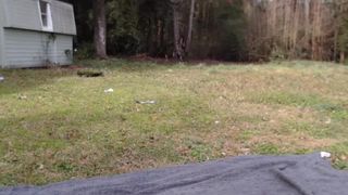 ella_xo Negro blonde