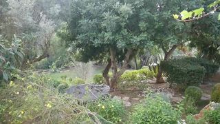 roxilloydxxx Cute lady