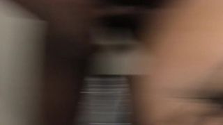 diversestacey Pregnant chick