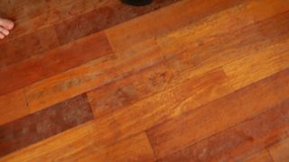 chrisstrokesxxx slut with big tits gets naked in  private e