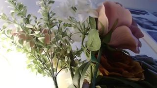 myassistant plump little devil gently massages pussy