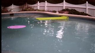 kingsbunny sweet coquette flaunts her body