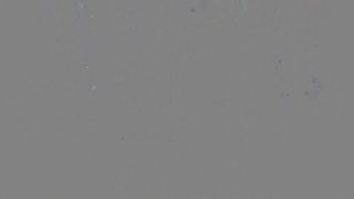 Lara Loxley hot bitch sucks dildos