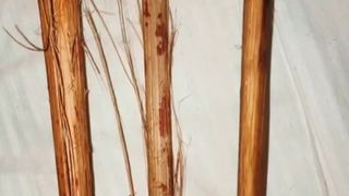 OnlyFans.com Evil Woman charming ladies lend themselves to lust