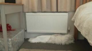 LilyPink recording 11.07.2019