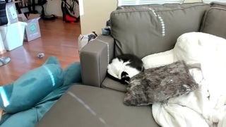 DelightfulHug hot babe pulls her holes