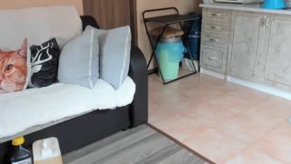 nyconik busty young lady removes her panties