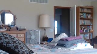 tommy0468 02 February 2020