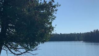 Sexmeat beautiful slut plows pussy with phallus