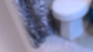 CHASTITY QUEEN onlyfans naked beauty in the kitchen