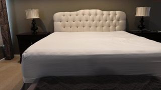 videoxxx chaturbate naughty brunette is petting natural tits