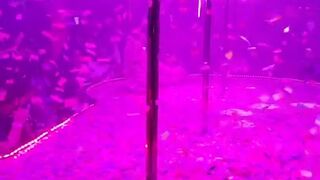 daizha morgann onlyfans impressive stranger excites huge boobs